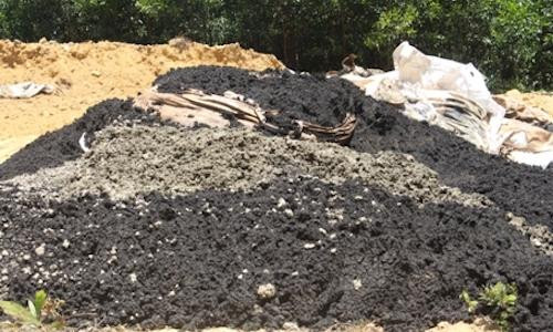 Nhà thầu của Formosa chôn chất thải tại đất của giám đốc công ty môi trường