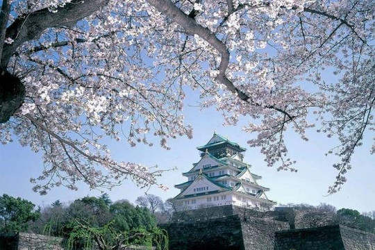 Kỳ 1:  Thành cổ Osaka - dấu tích của một ngôi cổ tự 