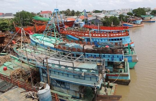 Vì sao các tàu cá Ba Tri liên tục bị Thái Lan bắt giữ? 