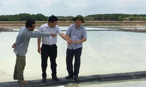 TP.HCM sẽ trích ngân sách để hỗ trợ người dân Cần Giờ tiêu thụ muối