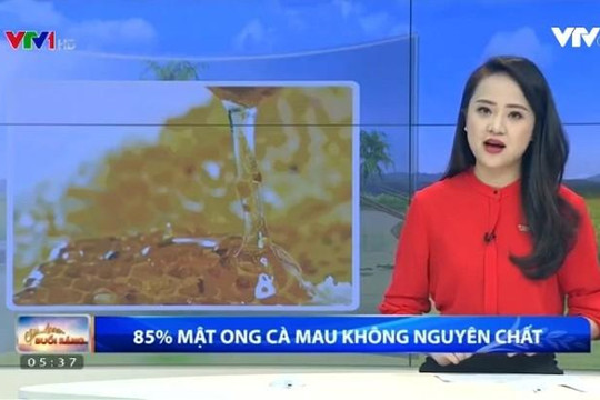 Cà Mau đề nghị chính phủ xử lý vụ đăng tin về 'mật ong pha nước đường'