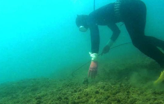 Trở lại đáy biển Nhân Trạch: Cá đã về dù biển chưa lành vết thương cũ