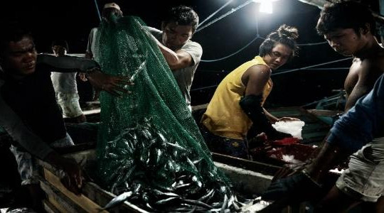 Ngư dân Trung Quốc khai thác cạn kiệt nguồn cá Biển Đông
