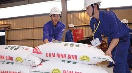 Đạm Ninh Bình xin cứu, Bộ Tài chính nói lời ăn lỗ chịu