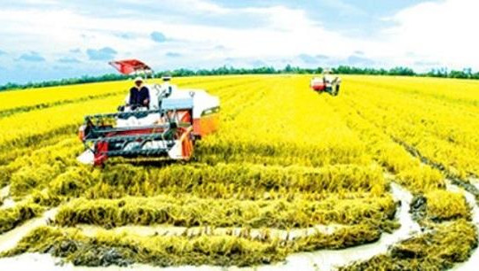 Bộ trưởng Nguyễn Xuân Cường: 'Đất đai là nút thắt lớn nhất khi đầu tư vào nông nghiệp'