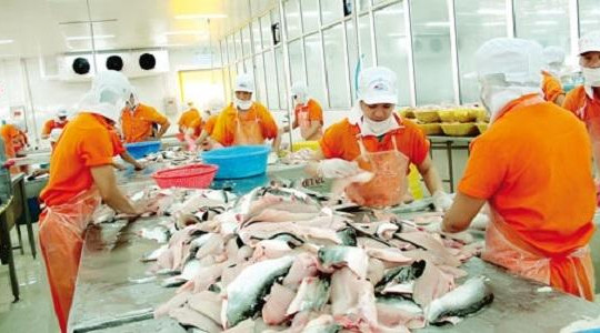 Việt Nam chỉ đứng sau Trung Quốc về thủy sản xuất khẩu bị trả về