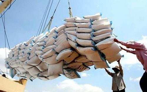 Đã đến lúc kết thúc chính sách đặt trọng tâm vào xuất khẩu lúa gạo?
