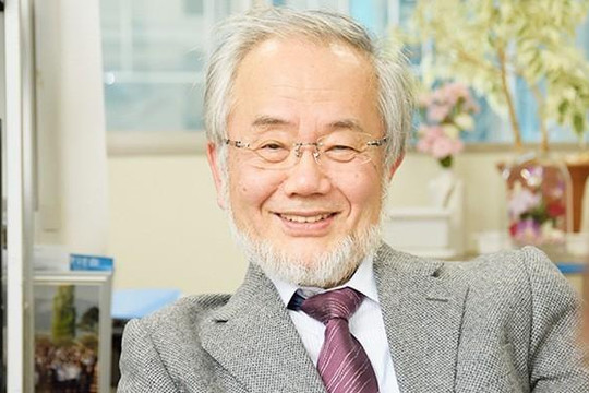 Giáo sư Nhật đoạt giải Nobel Y sinh học vì nghiên cứu cơ chế 'cải lão hoàn đồng'