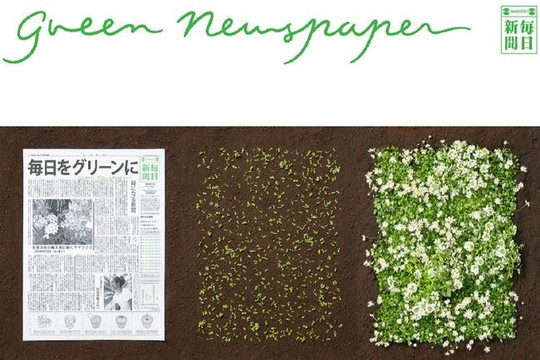Trồng giấy báo ra cây xanh, phát minh ở Nhật khiến thế giới ngưỡng mộ