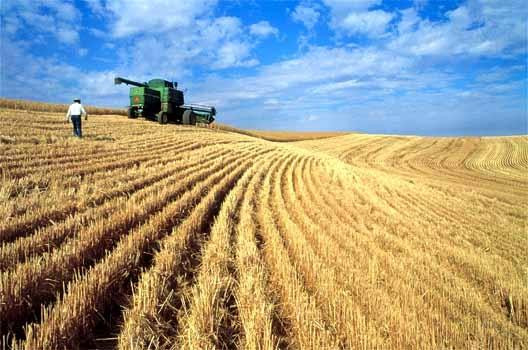 Nước Nga trên con đường trở thành cường quốc nông nghiệp