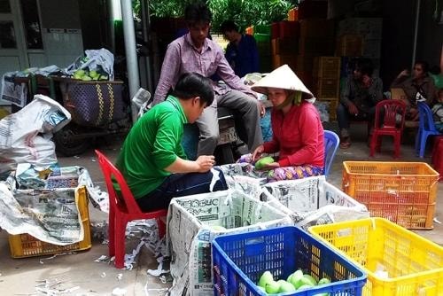 Trung Quốc giảm nhập, xoài Campuchia tại biên giới rớt giá thê thảm