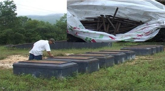Thừa Thiên-Huế: Hàng ngàn ngôi mộ bị đóng đinh bí ẩn