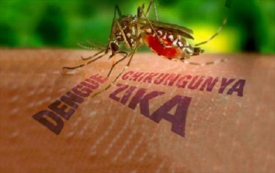  TP.HCM: Liên tục phát hiện các trường hợp nhiễm vi rút Zika