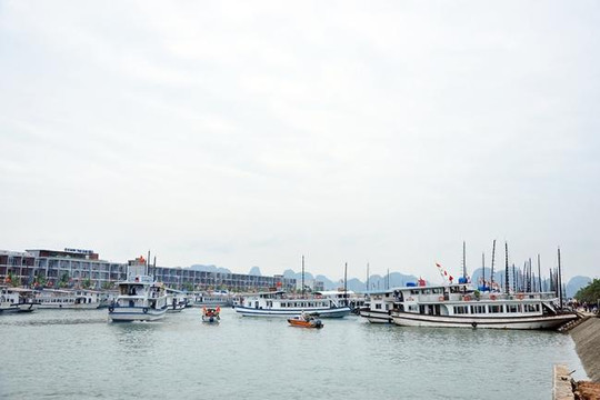 Quảng Ninh cấm tàu thuyền khi bão số 7 gió giật cấp 16 đang vào bờ