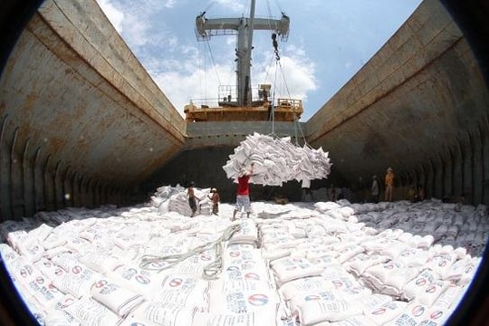 Xuất khẩu gạo sang Trung Quốc giảm mạnh