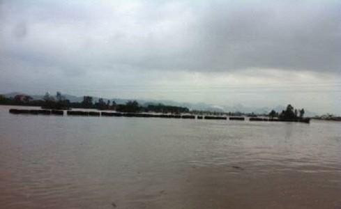 Quảng Bình: Lũ cuốn trôi cầu phao, 200 hộ dân bị cô lập giữa sông Gianh