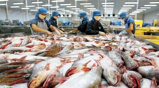 3 doanh nghiệp thủy sản Việt Nam bị giám sát quốc tế đặc biệt