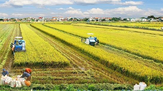 Nông nghiệp vẫn phải ‘đứng ngoài cuộc’ với các dòng vốn FDI