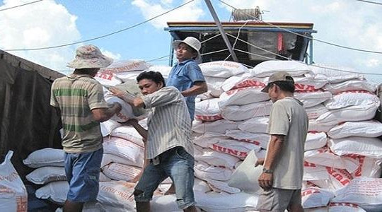 Vì sao gạo xuất khẩu của Việt Nam ngày càng 'thất thu' cả về lượng và chất?