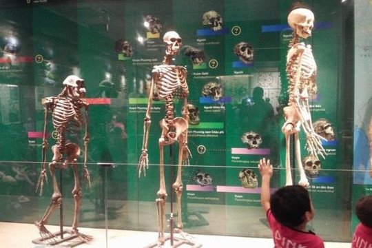 Khám phá Viện bảo tàng tự nhiên, xem phim 3D miễn phí giữa Hà Nội