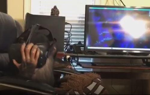 Phản ứng của tinh tinh khi đeo kính thực tế ảo