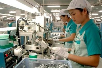 Công nghiệp hỗ trợ Việt Nam: Những câu hỏi nhức nhối