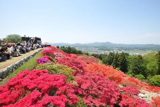 Có một 'thiên đường hoa' ở Nhật Bản 4 mùa đều đẹp