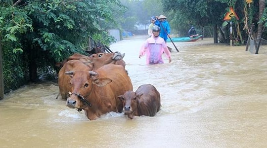 Thủ tướng trực tiếp chỉ đạo khắc phục hậu quả mưa lũ ở miền Trung