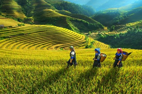 Miền Bắc Việt Nam, điểm đến giá rẻ trong 2017