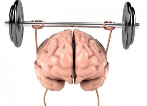 Chơi thể thao có lợi cho cả cơ bắp lẫn bộ não