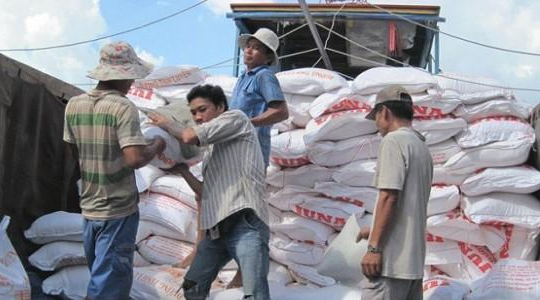 Bãi bỏ quy hoạch thương nhân xuất khẩu gạo: DN chưa thực sự hết khổ