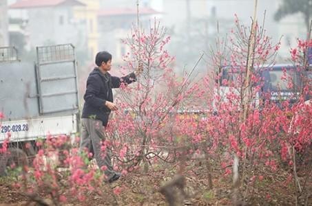 Cuộc đua quà Tết của các chàng rể