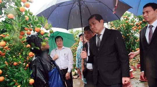 Chủ tịch Đà Nẵng giảm 50% phí mặt bằng cho người bán hoa chợ Tết