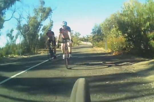 Kangaroo bất ngờ nhảy qua đầu người đi xe đạp