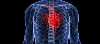 Tác dụng ngừa suy tim của một loại thuốc điều trị ung thư