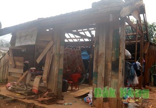 Trưởng thôn bị tố tháo nhà lấy gỗ của hộ dân nghèo mang về cho họ hàng