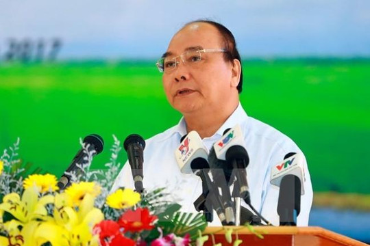 Thủ tướng Nguyễn Xuân Phúc: Cần đổi mới toàn diện ngành lúa gạo