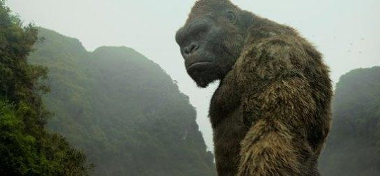 Tự vấn trước Kong:  Ai là vua?  