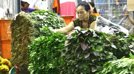 Nghịch lý giá rau quả nội giảm mạnh, người Việt vẫn chuộng hàng nhập