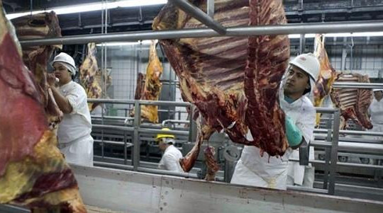 Cục Thú y: 3000 tấn thịt nhập từ Brazil không 'dính' đến các nhà máy bị điều tra  