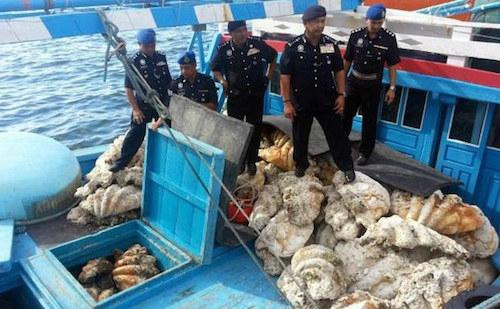 Malaysia bắt giữ 2 tàu cá và 28 ngư dân Việt Nam