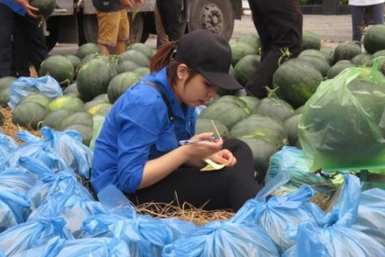 Bà Phạm Chi Lan: Không nên khuyến khích giải cứu nông sản kiểu từ thiện