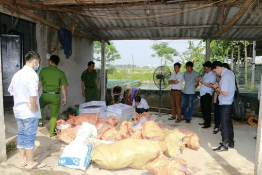 Hà Tĩnh: Phát hiện hơn 2 tấn thực phẩm quá 'đát' trong kho hợp tác xã