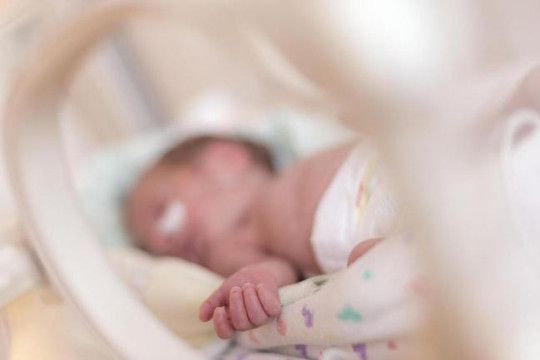 Trẻ sinh non có thêm cơ hội sống sót trong tử cung nhân tạo