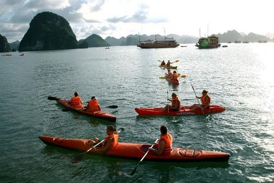 Dịch vụ chèo thuyền Kayak được hoạt động trở lại trên vịnh Hạ Long