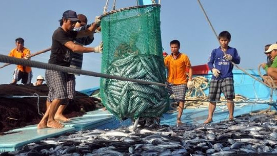 Thủ tướng yêu cầu chấn chỉnh việc ngư dân Việt Nam khai thác hải sản trái phép ở nước ngoài