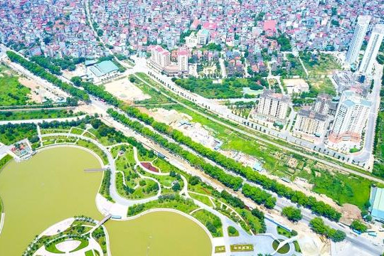 Giám đốc Sở Xây dựng Hà Nội: Bất khả kháng mới chặt cây xanh
