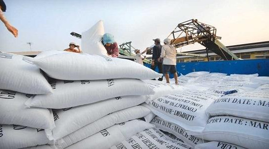 Thương nhân sống 'lay lắt' vì mất dần cơ hội xuất khẩu gạo