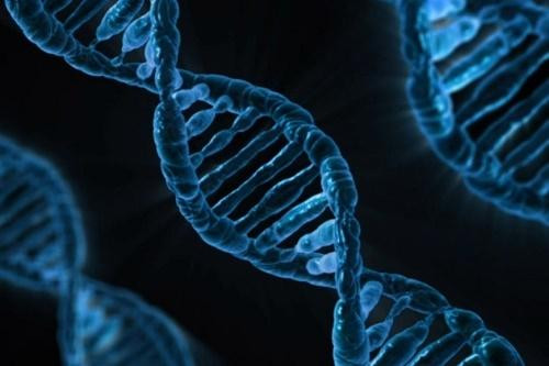 Úc: Lần đầu tiên có dịch vụ xét nghiệm gen để đánh giá sức khỏe toàn diện