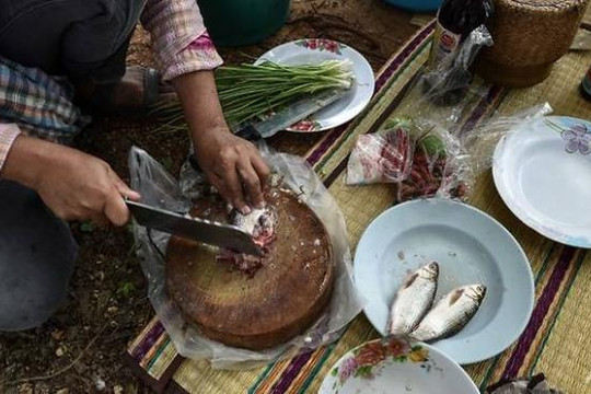 Thái Lan tiếp tục nỗ lực ngăn chặn món cá sống truyền thống gây ung thư gan